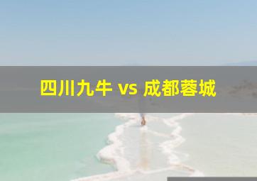 四川九牛 vs 成都蓉城